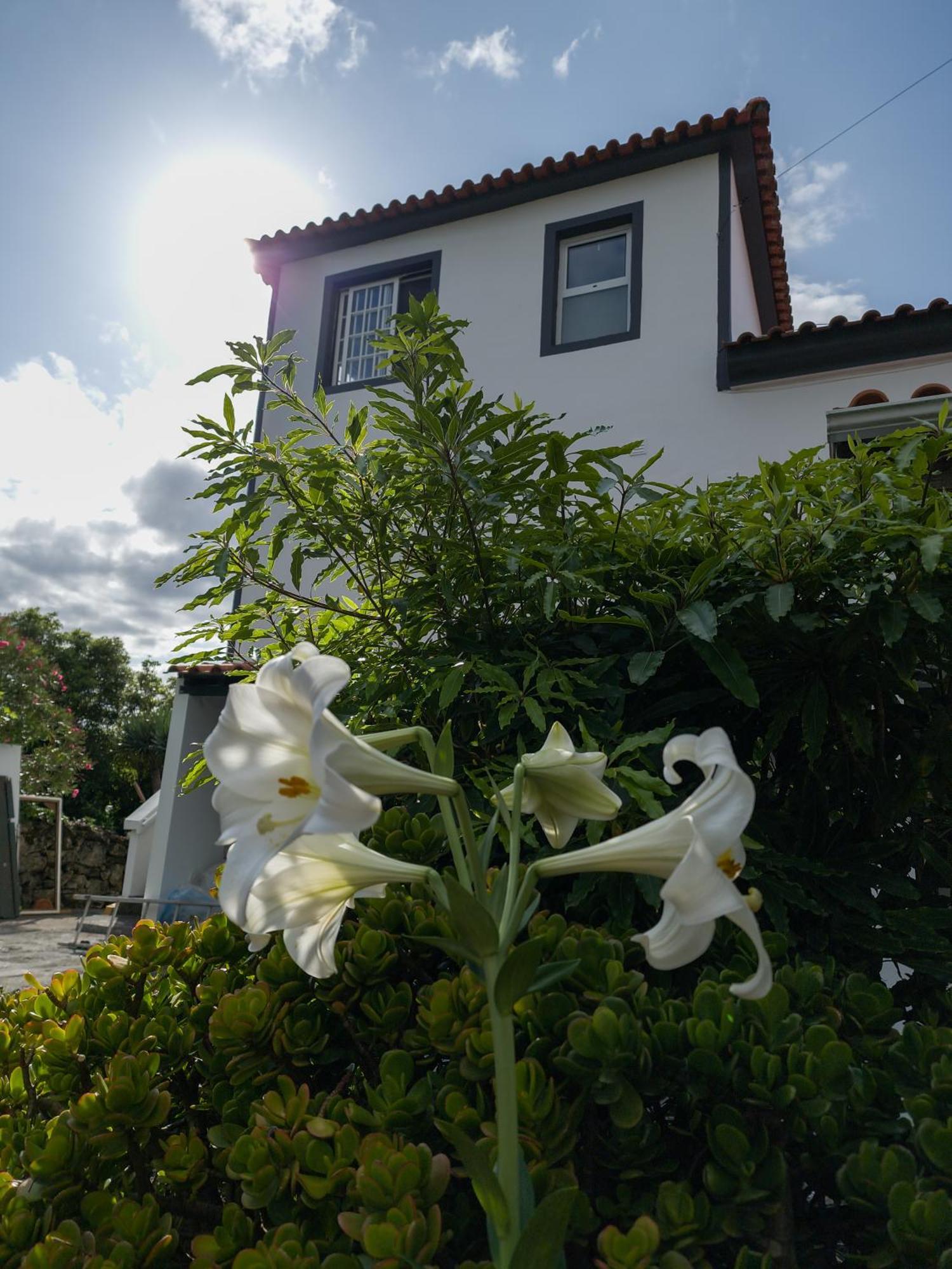 Loving Strangers Albergue Madalena (Azores)